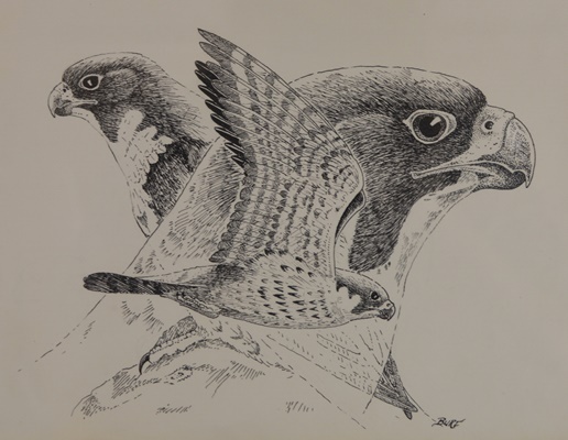 DeVere Burt Eagle Offset Lithograph