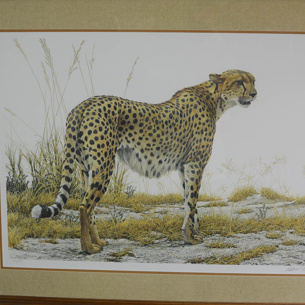 Robert Bateman Signed Offset Lithograph "Cheetah Profile"