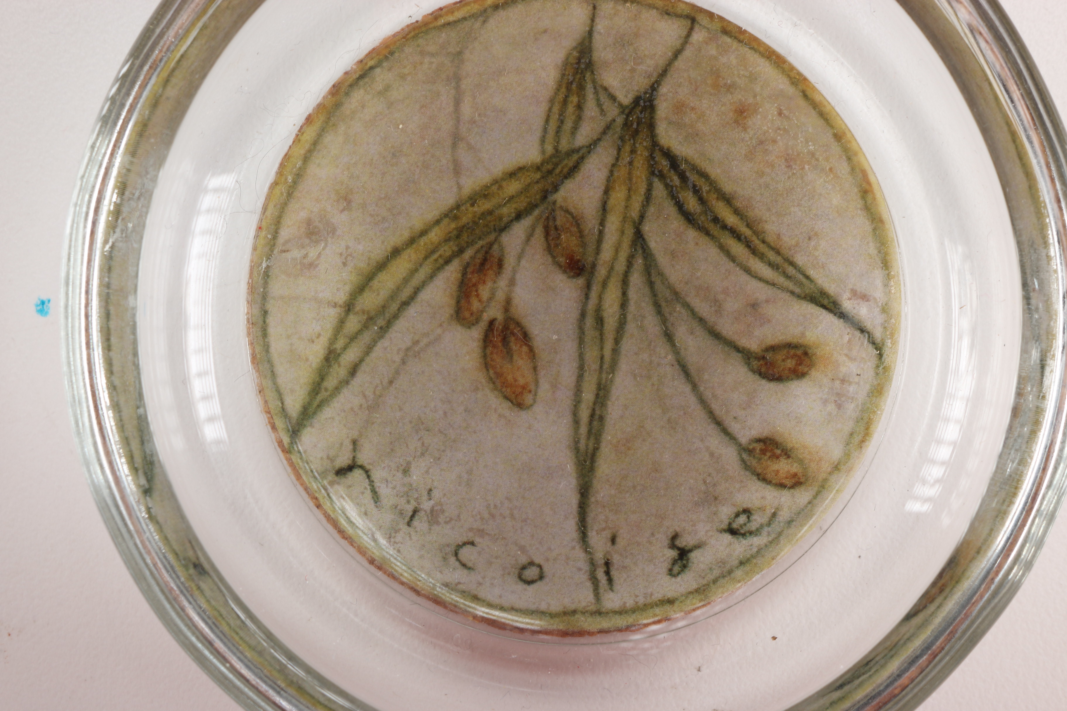 Assortment of Glass Items and Ceramic Pitcher