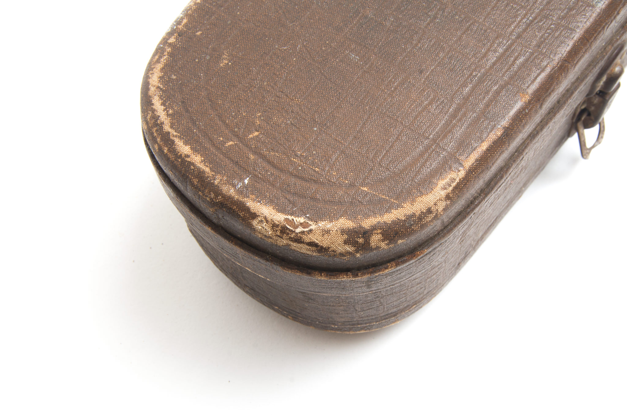 Vintage Violin With Eagle Lock Case and Bows