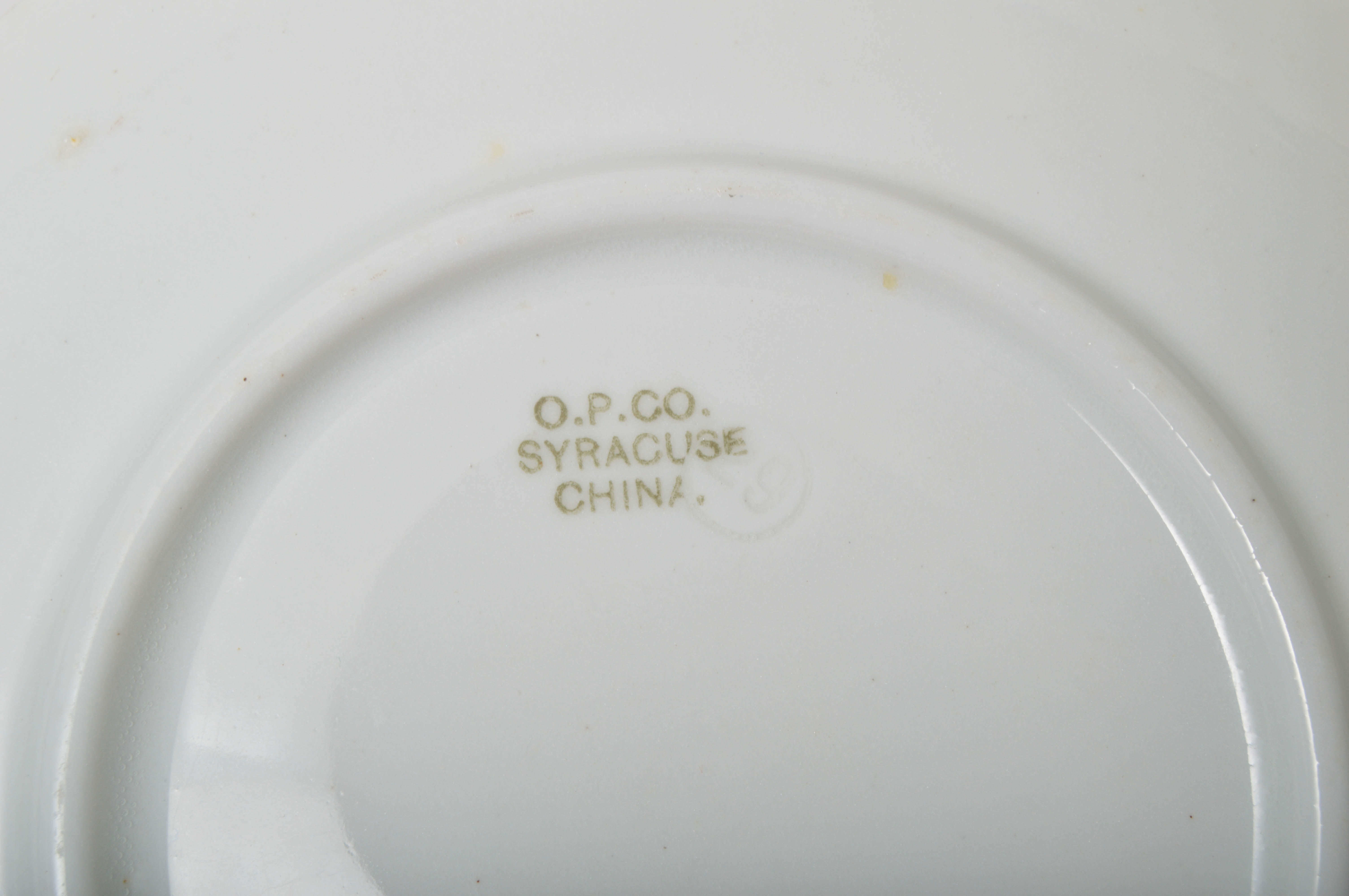 Antique Onondaga Pottery Co Porcelain China Set