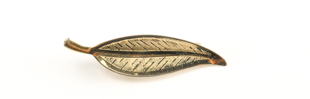 Collection of Costume Jewelry with Carrying Case