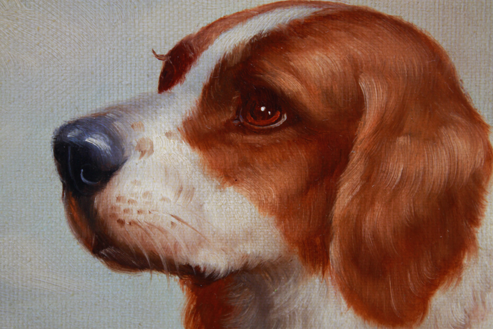 Signed Van Webber Oil Painting of St. Bernard