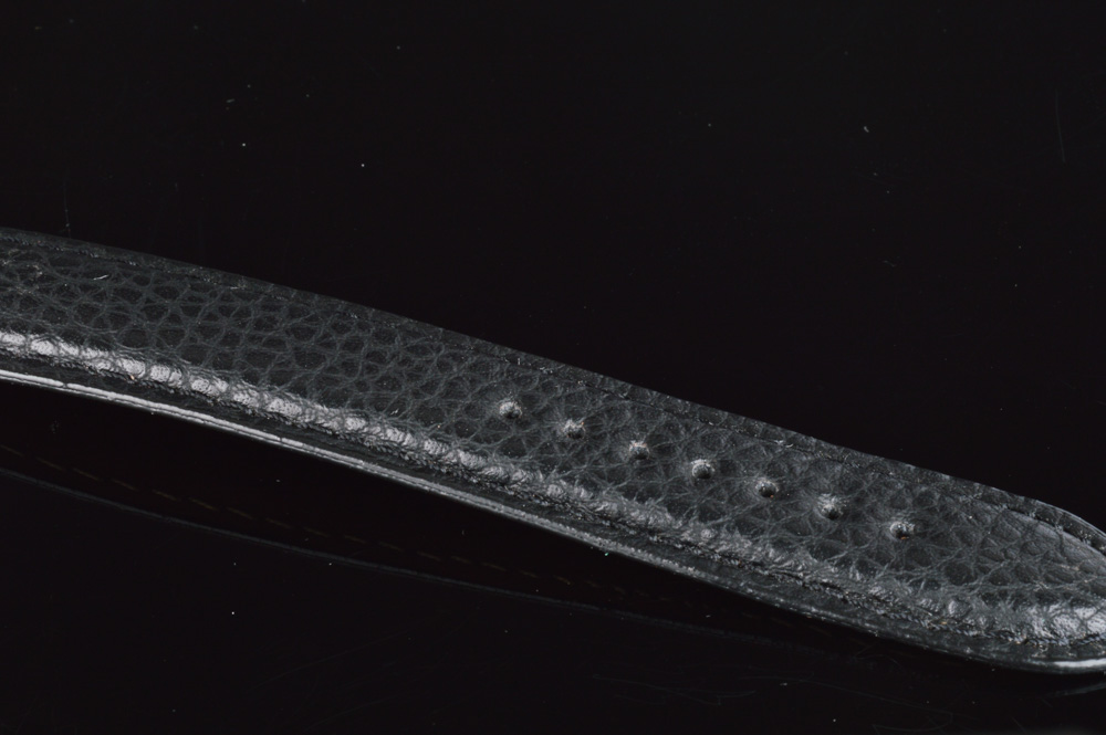 Vintage Sandoz Automatic Swiss Watch