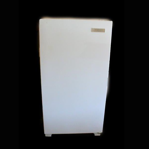 Frigidaire Heavy Duty Commercial Freezer