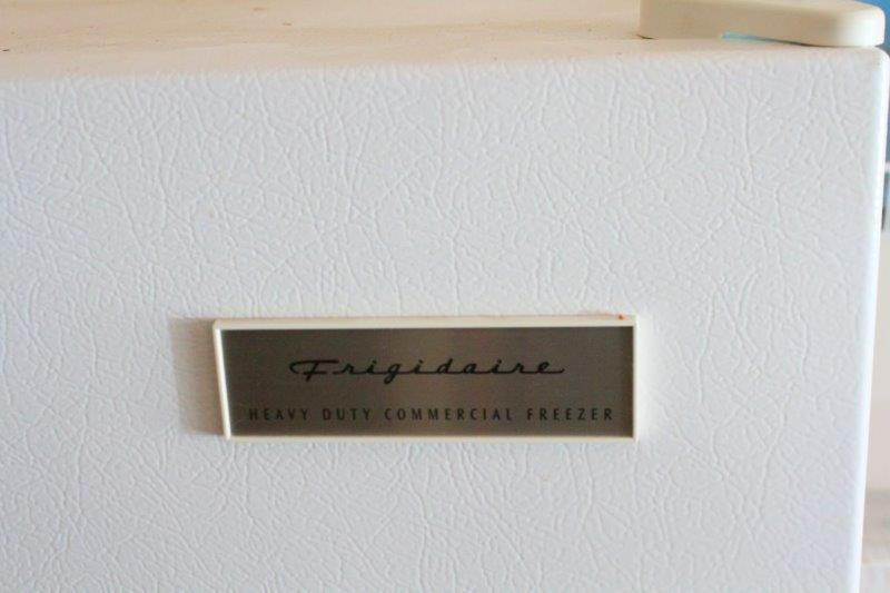 Frigidaire Heavy Duty Commercial Freezer