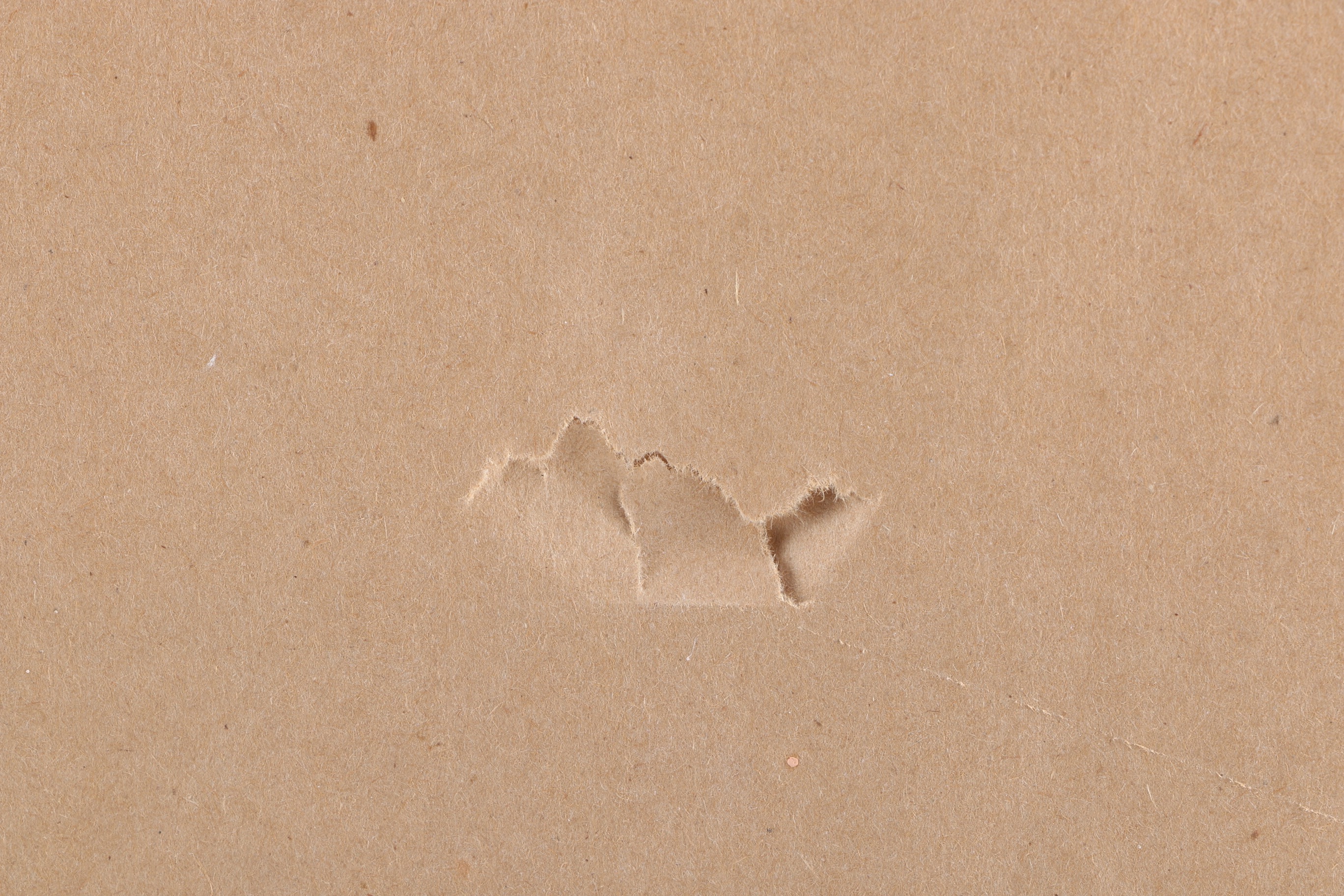 Limited Edition Puss in Boots Lithograph