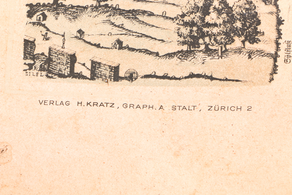 Antique Swiss Map of Zürich