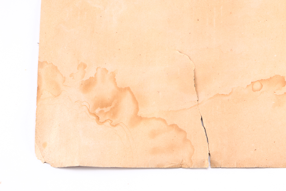 Antique Swiss Map of Zürich