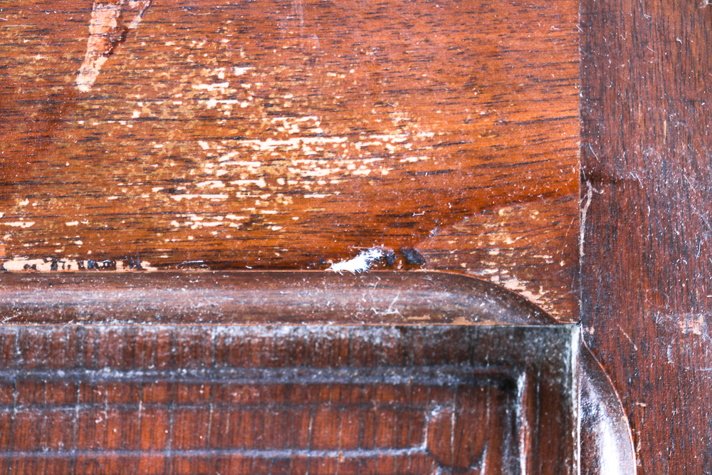 Collection of Antique Cabinet Panels