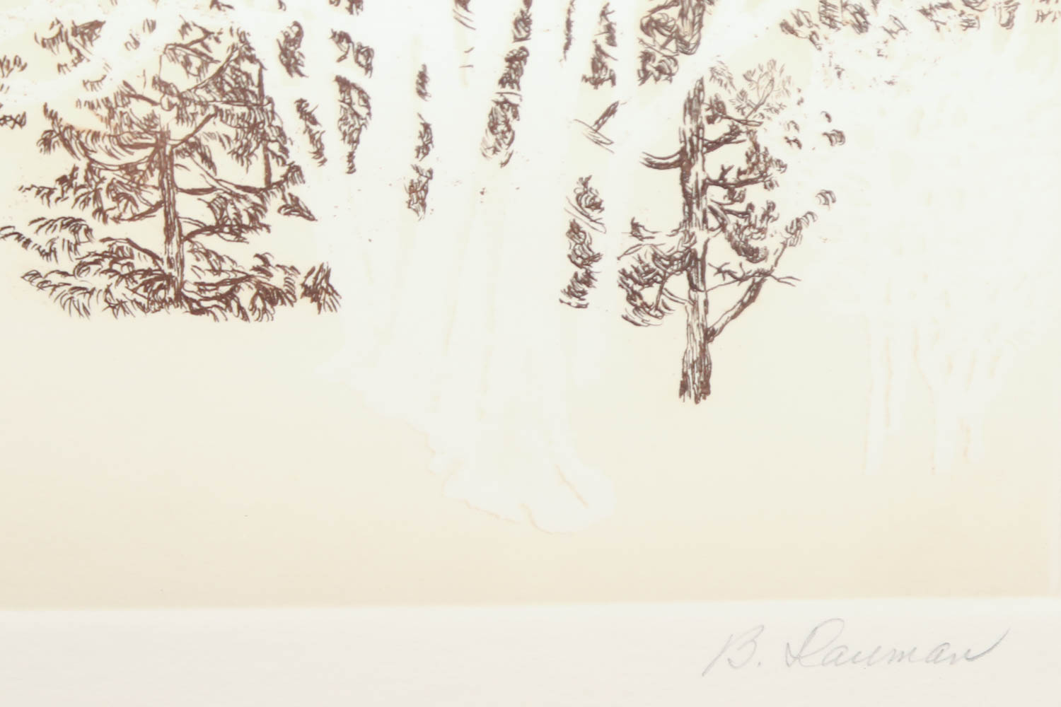 Barbara Dauman "Mountain Light" Signed Limited Edition Aquatint Etching