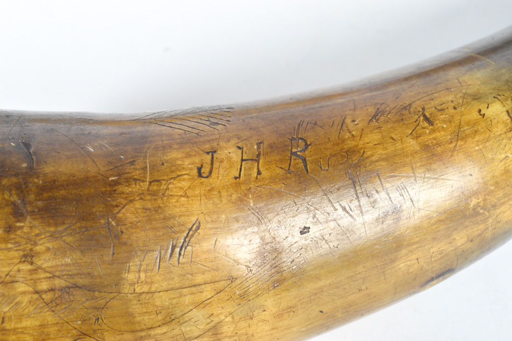 Vintage Sykes Powder Flask and Antique Powder Horns