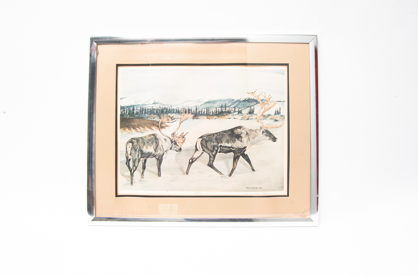 Signed Limited Edition Offset Lithograph by Shannon Chase Poole