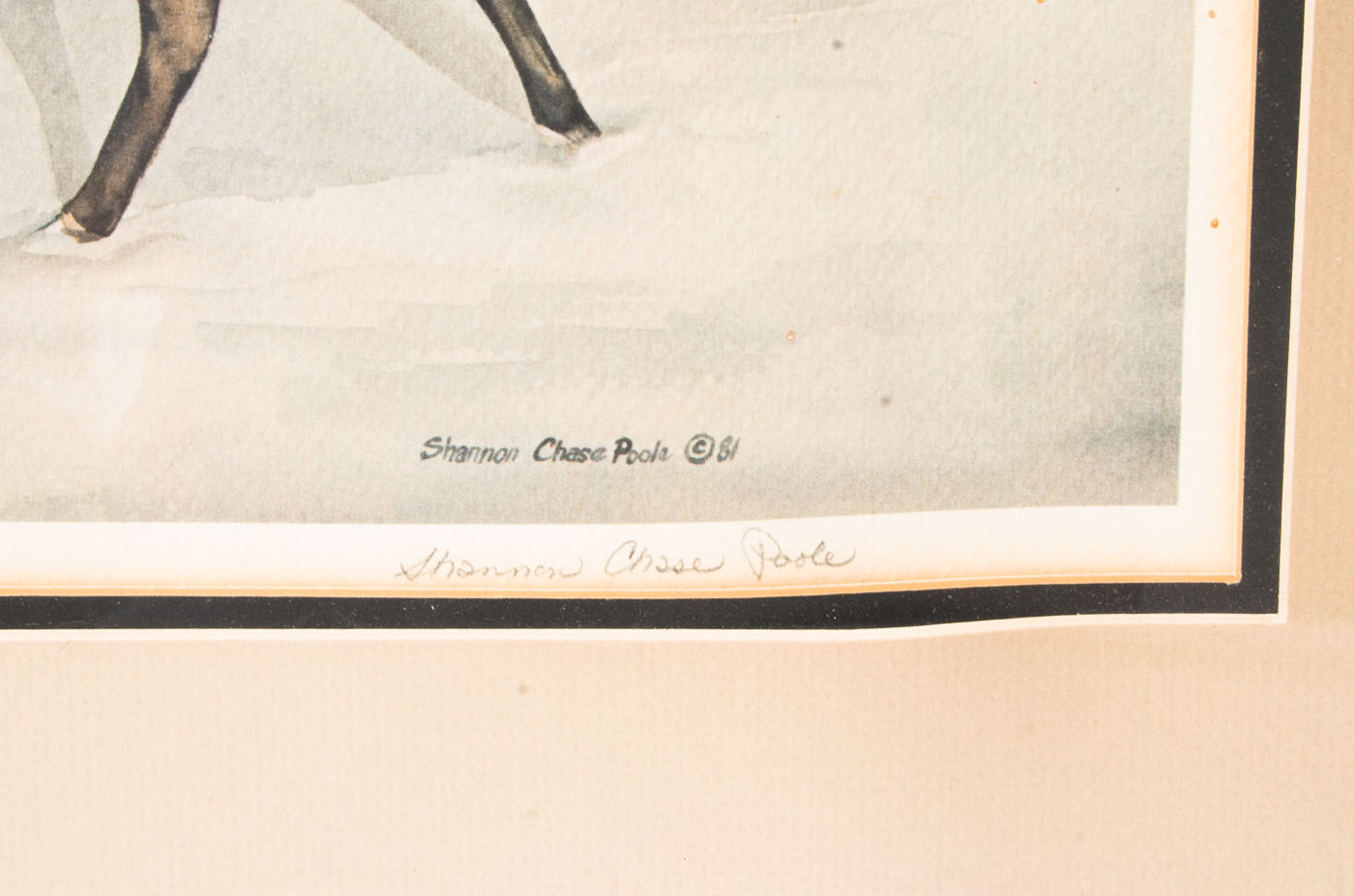 Signed Limited Edition Offset Lithograph by Shannon Chase Poole