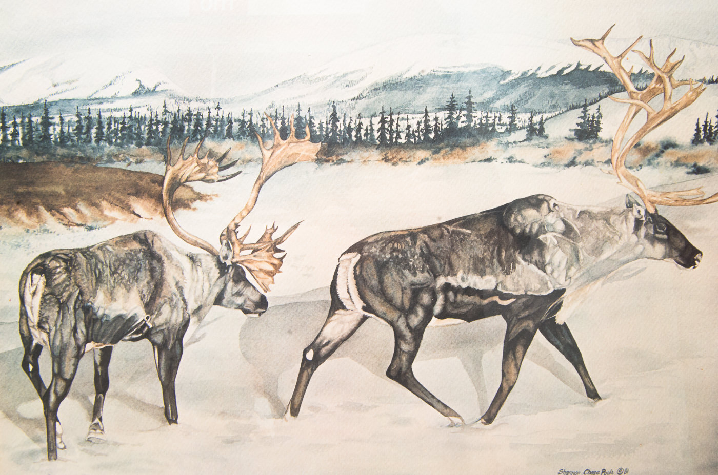 Signed Limited Edition Offset Lithograph by Shannon Chase Poole