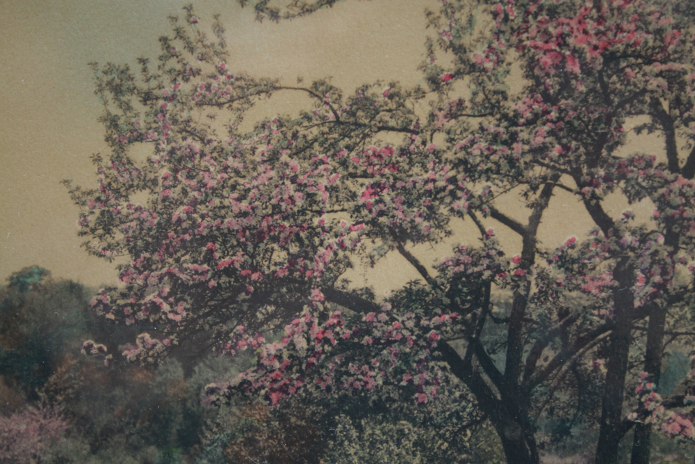 Signed David Davidson Hand-Colored Photograph