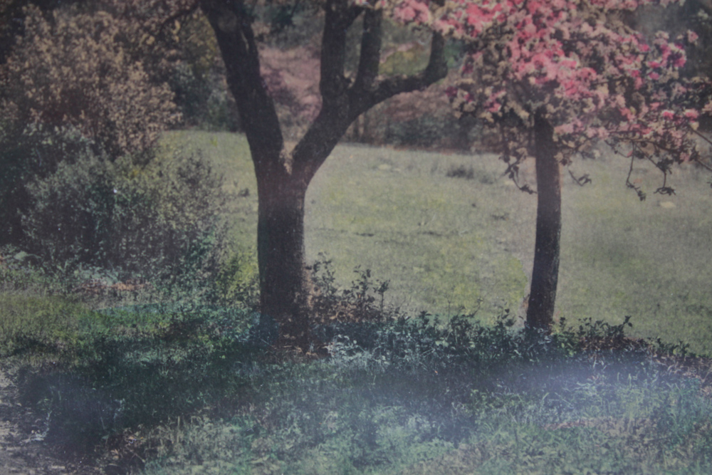 Signed David Davidson Hand-Colored Photograph