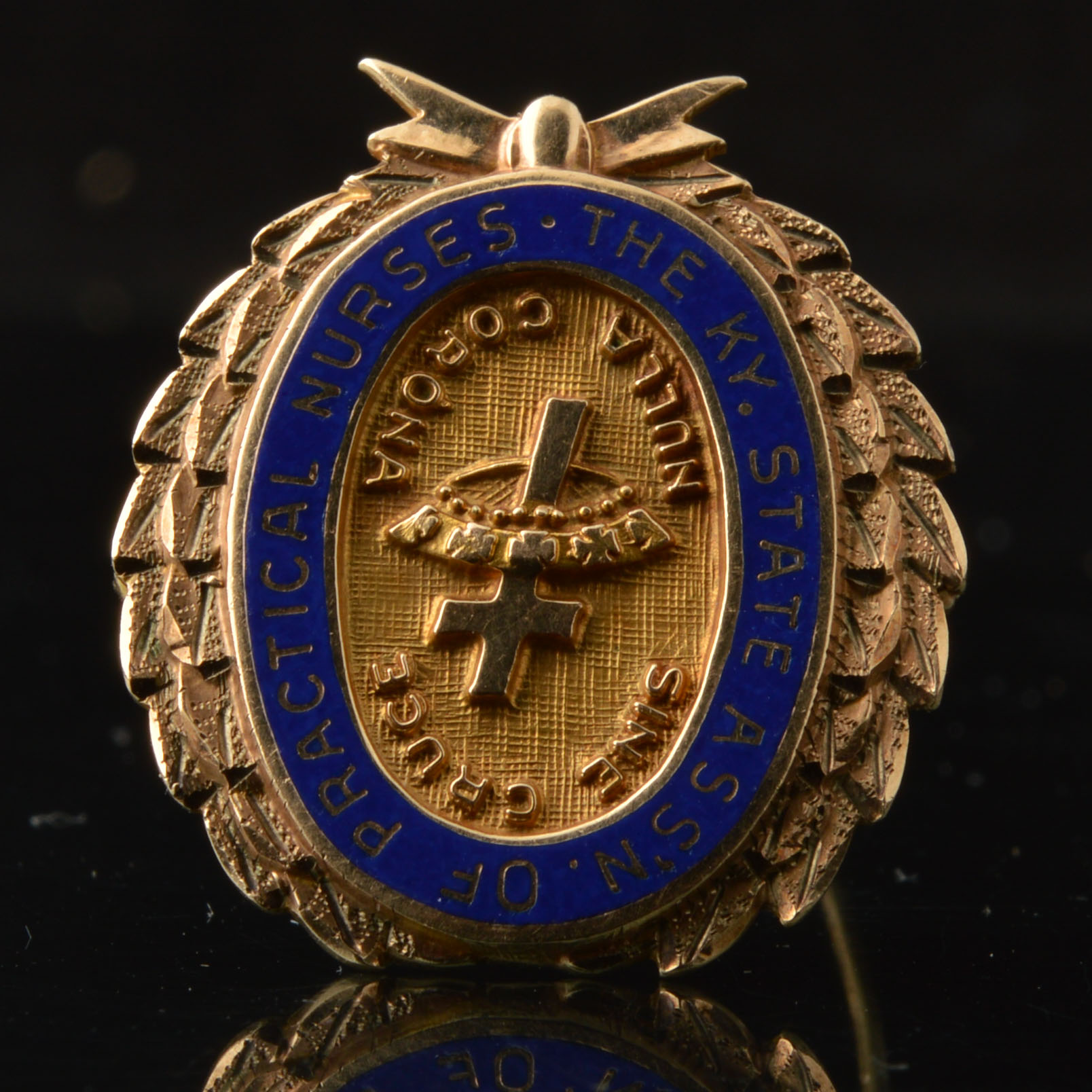 10K Yellow Gold Nurse's Pin