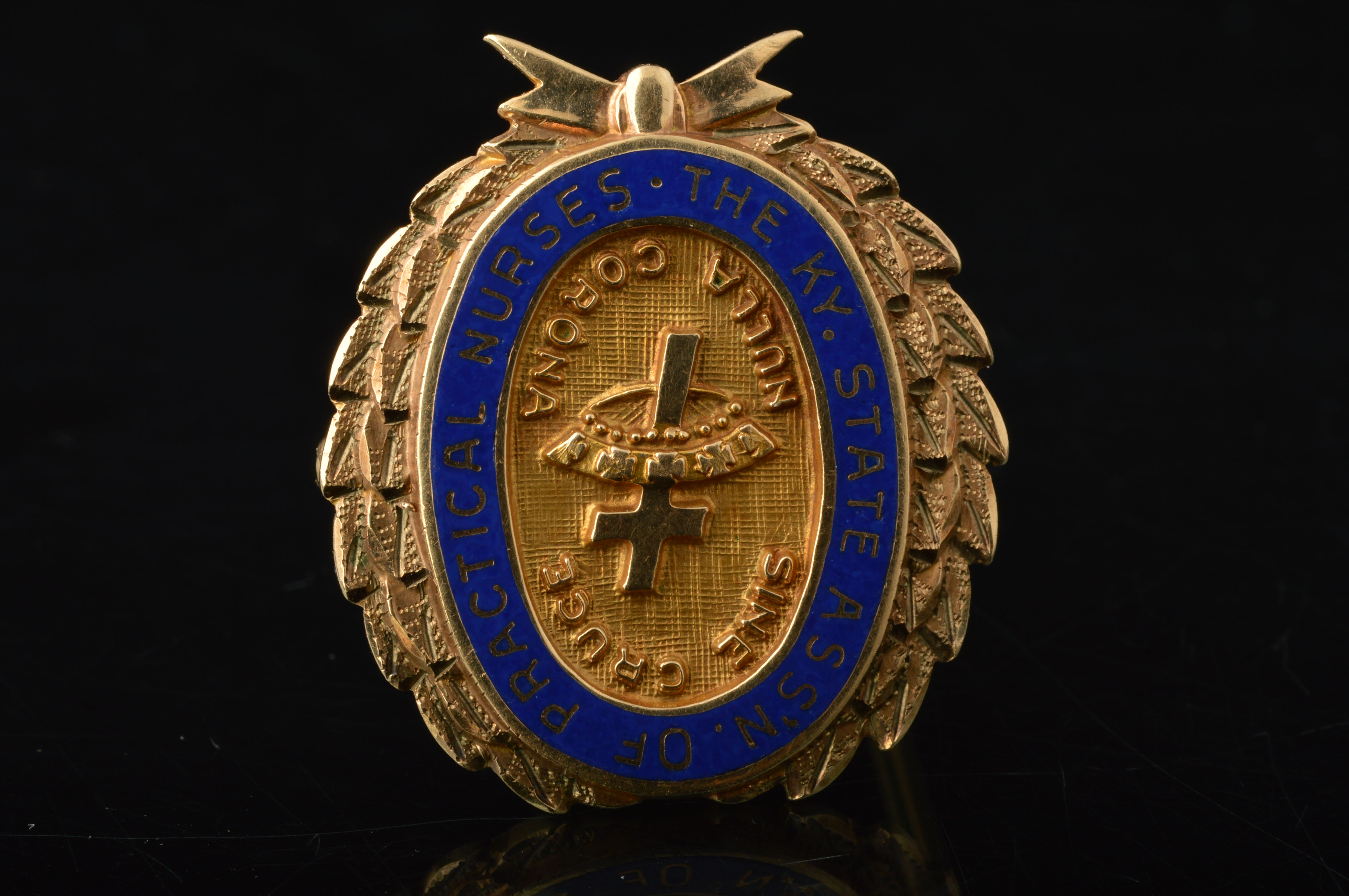 10K Yellow Gold Nurse's Pin