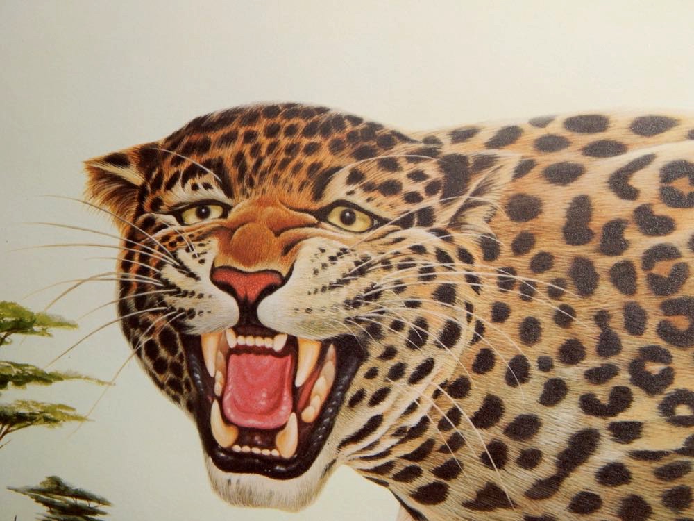 "Leopard" Limited Edition John Ruthven Signed Print