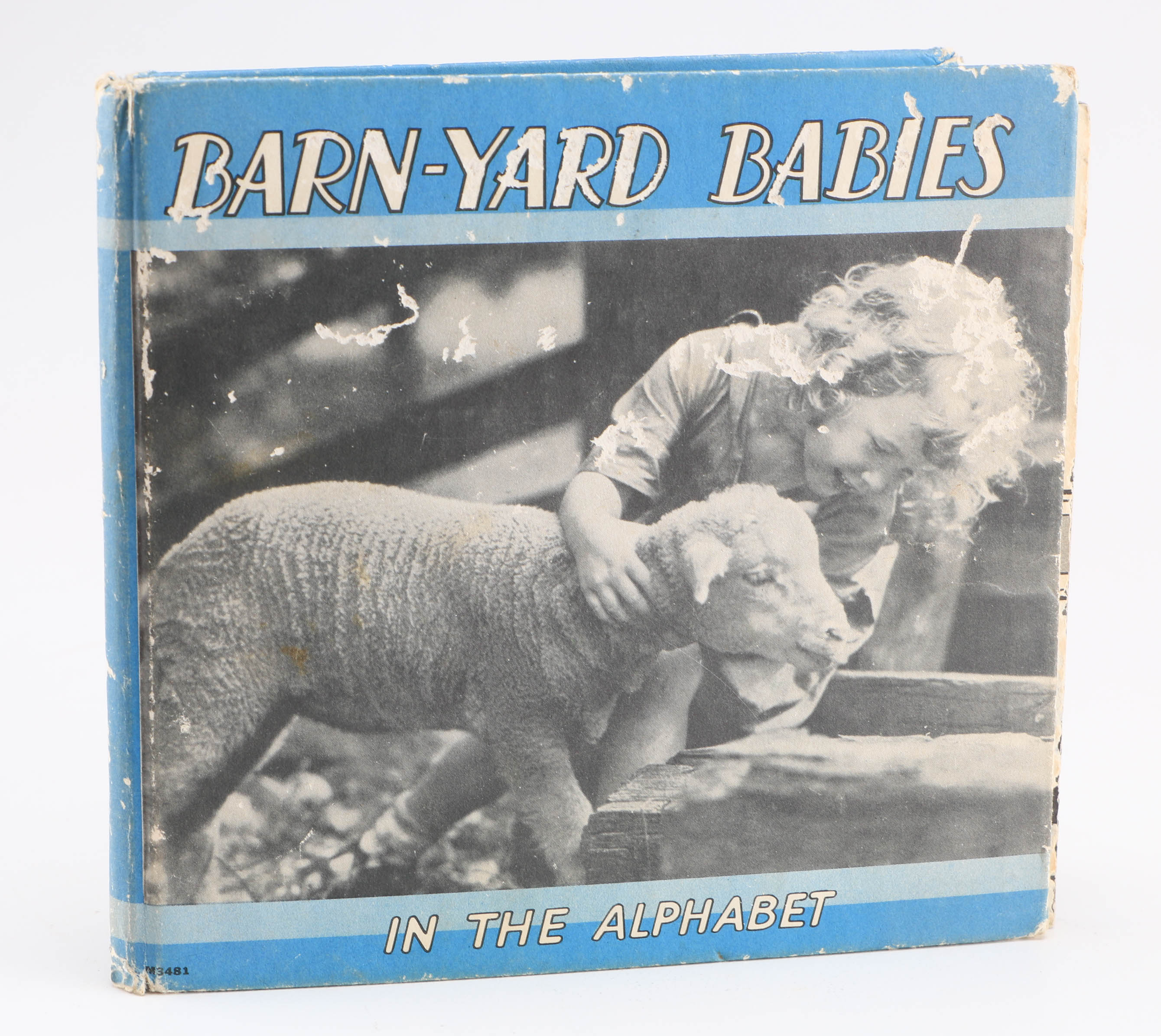 Vintage Book Collection