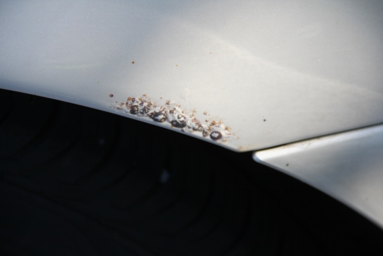 2001 Cadillac Deville 24K Edition Sedan