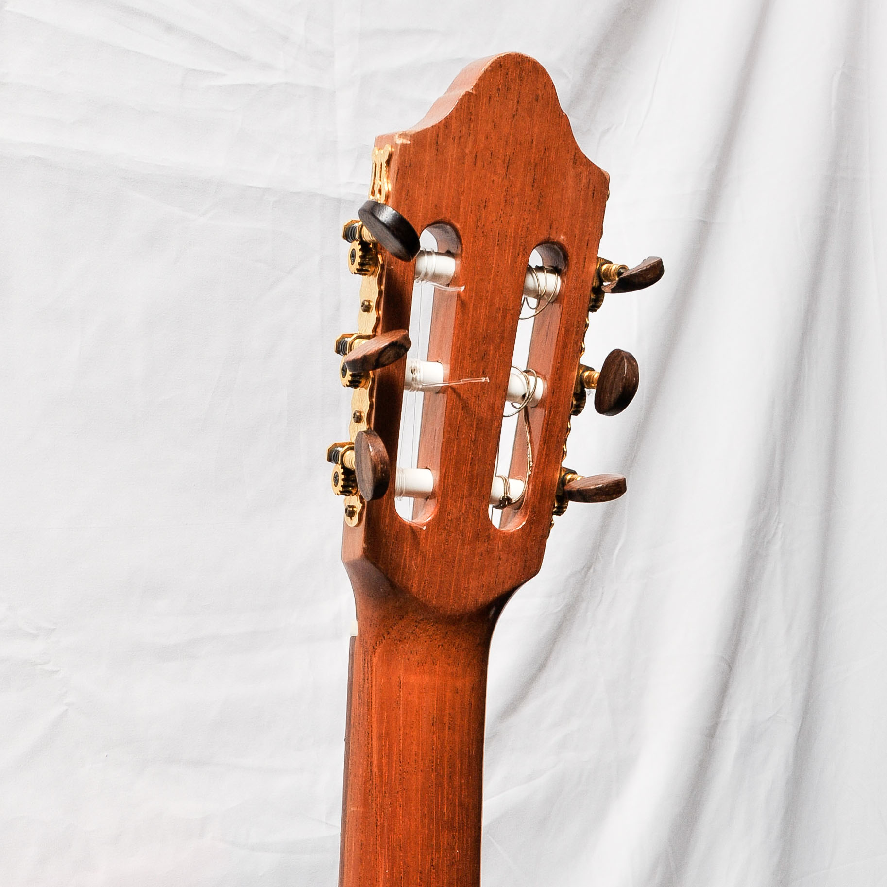 Orpheus Valley Guitars Fiesta Classical Style Guitar With Case