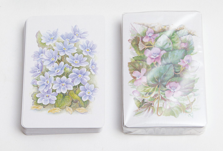 Set of Playing Cards and Die