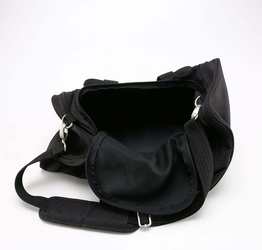 Nylabone Pet Carrier and Volvo Duffel Bag