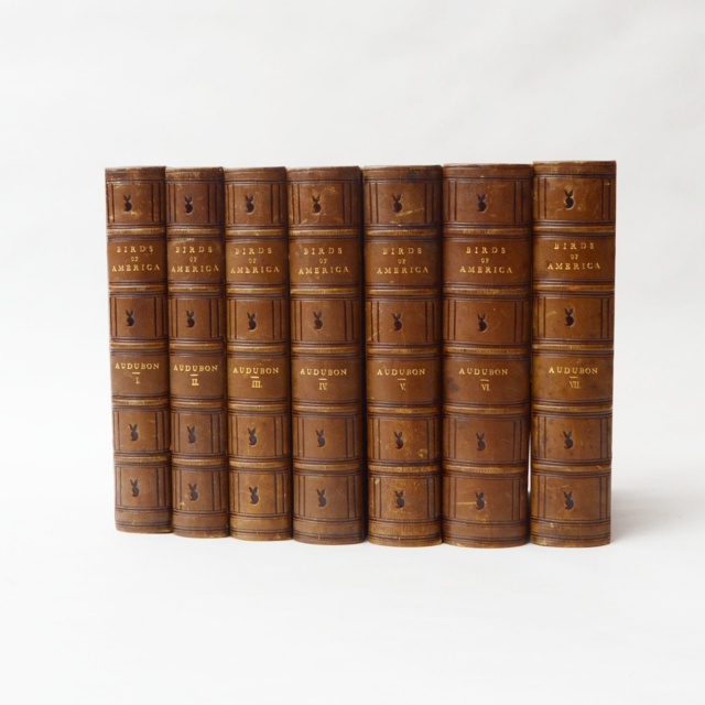 "The Birds of America" Fifth Octavo Edition Complete Set by J.J. Audubon
