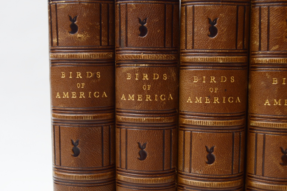 "The Birds of America" Fifth Octavo Edition Complete Set by J.J. Audubon