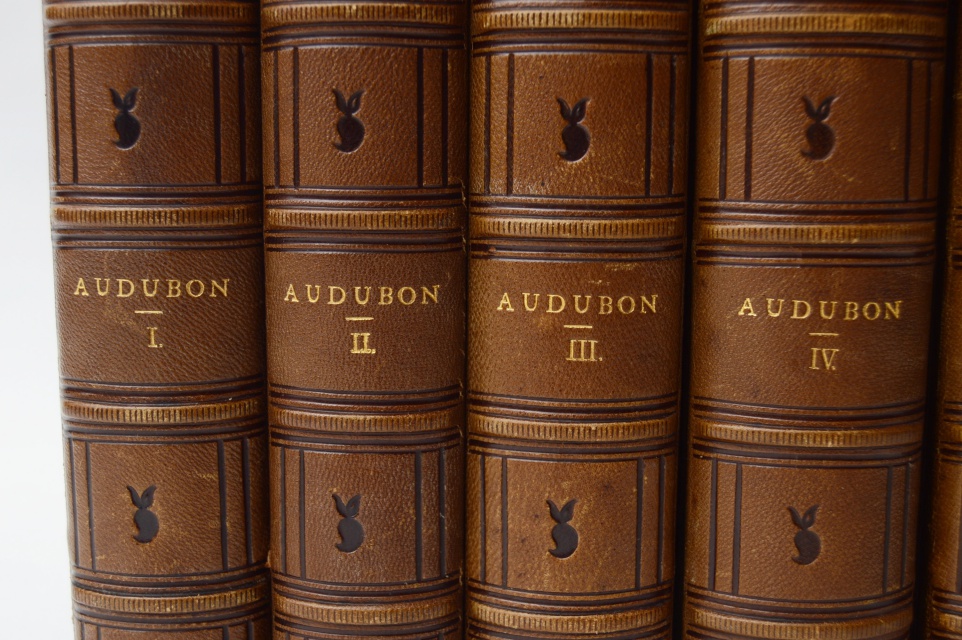 "The Birds of America" Fifth Octavo Edition Complete Set by J.J. Audubon