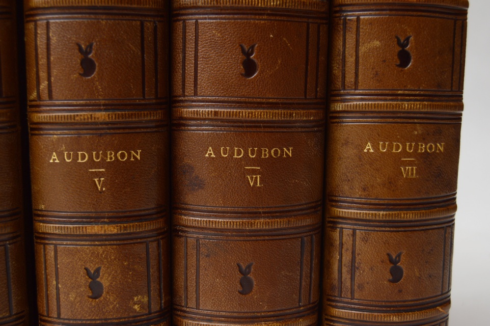 "The Birds of America" Fifth Octavo Edition Complete Set by J.J. Audubon
