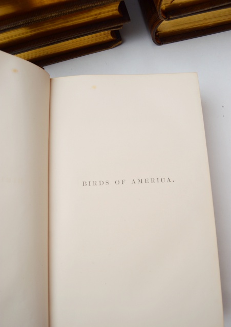 "The Birds of America" Fifth Octavo Edition Complete Set by J.J. Audubon