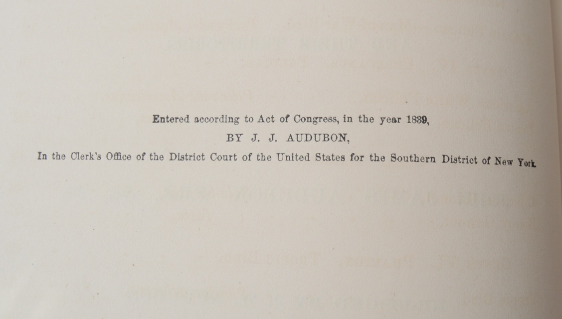 "The Birds of America" Fifth Octavo Edition Complete Set by J.J. Audubon