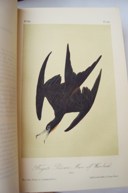 "The Birds of America" Fifth Octavo Edition Complete Set by J.J. Audubon