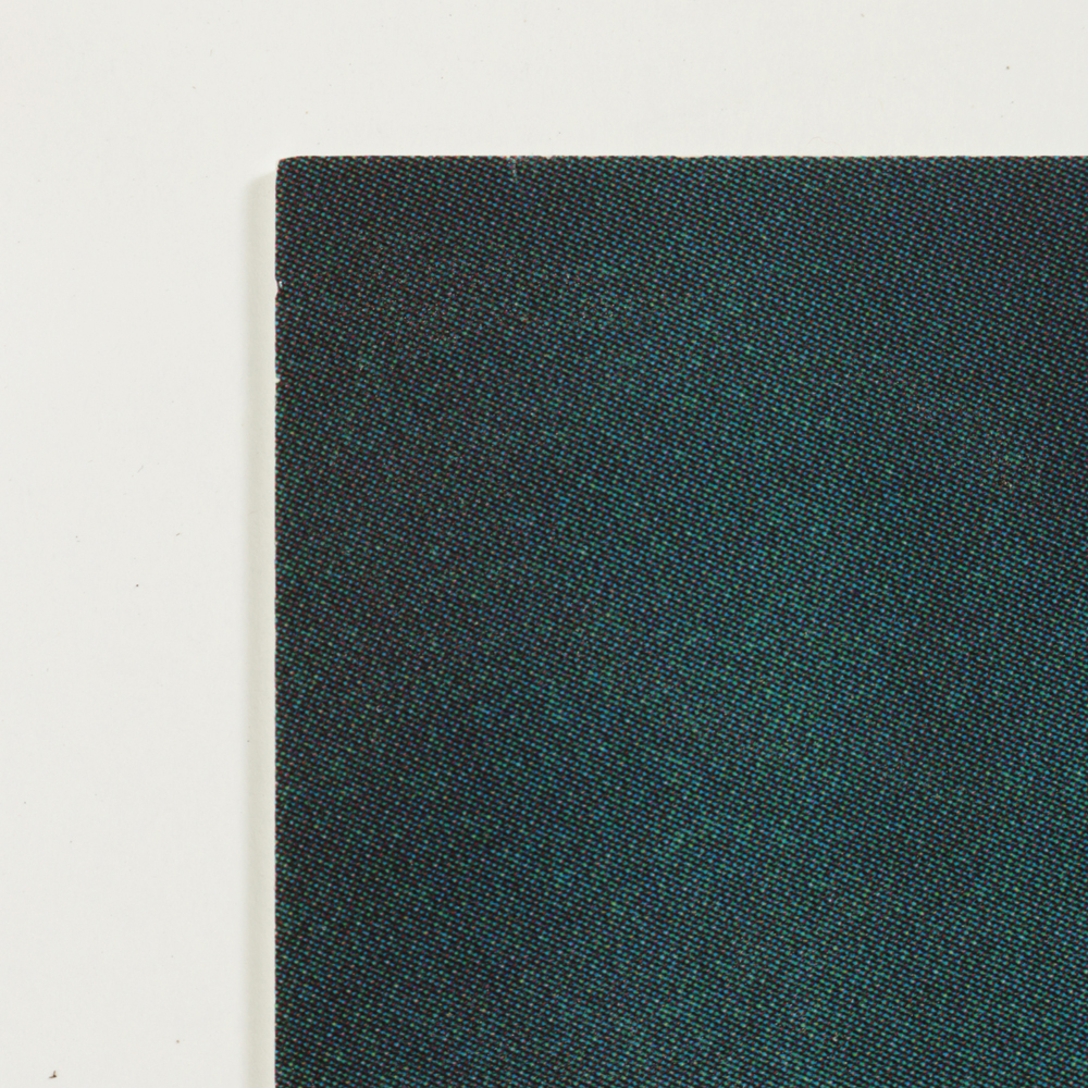 Disney's "Legend of the Seeker" Vinyl Poster