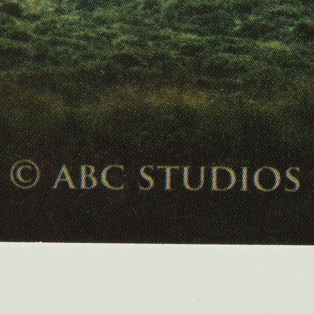 Disney's "Legend of the Seeker" Vinyl Poster