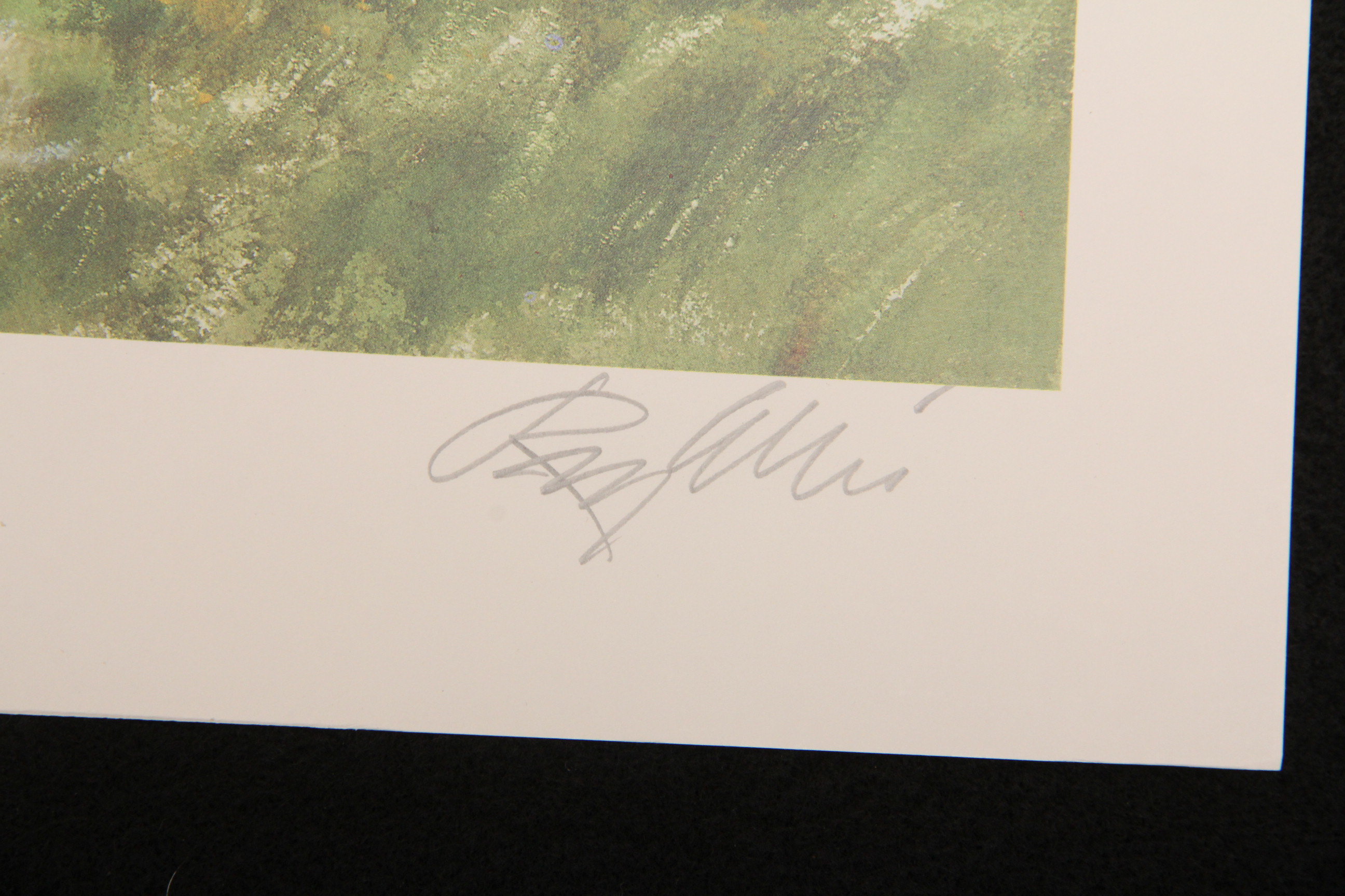 Ray Ellis Signed Limited Edition Unframed Print