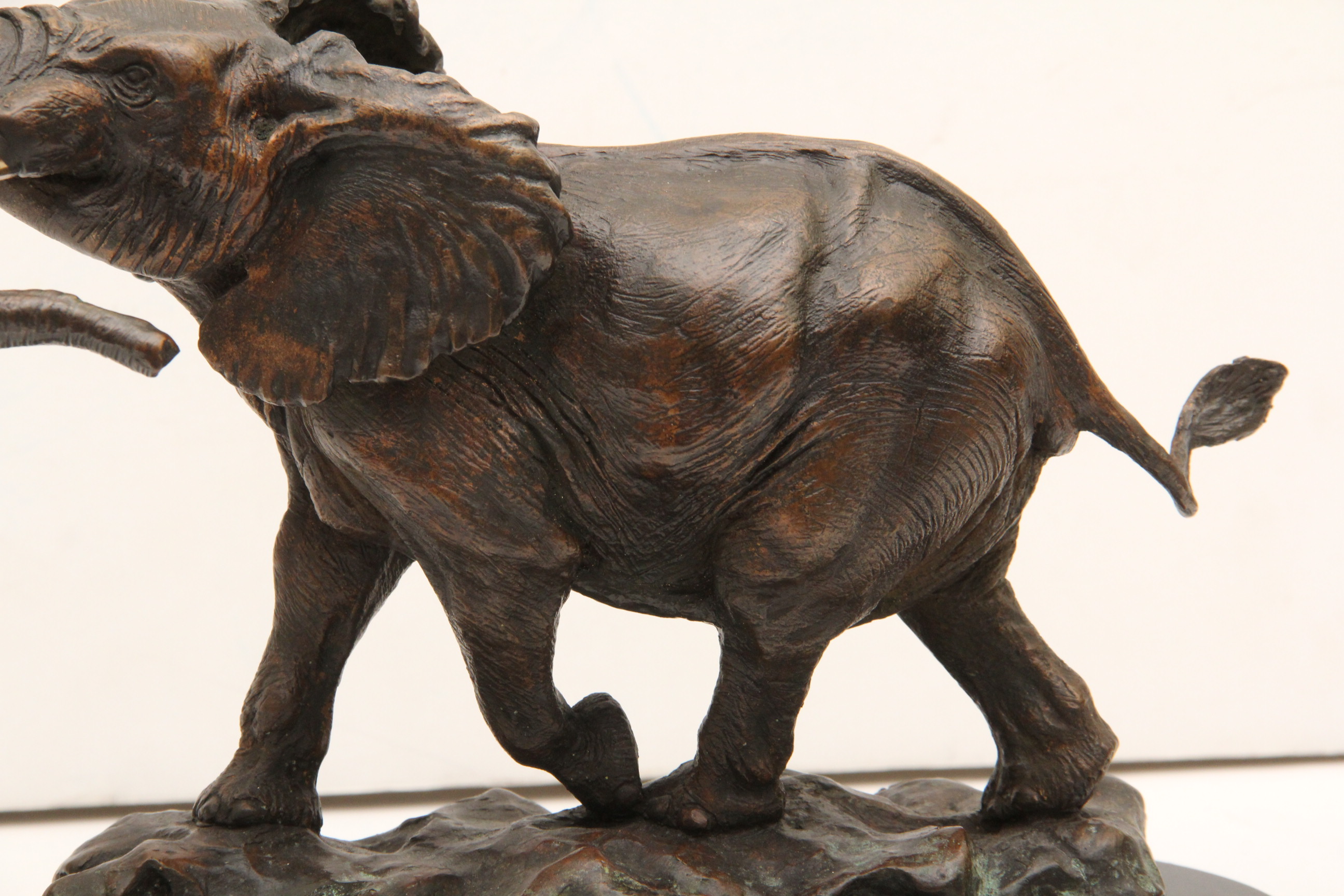 David Schaefer Cast Bronze African Elephant Statue