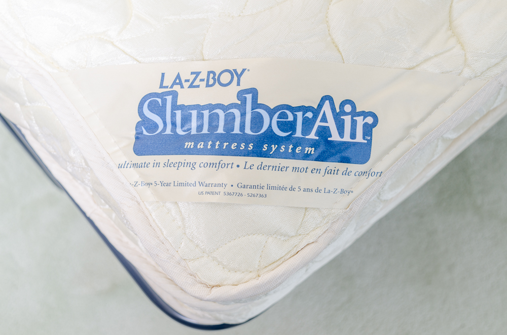 Contemporary Leopard Print Sleeper Sofa by La-Z-Boy