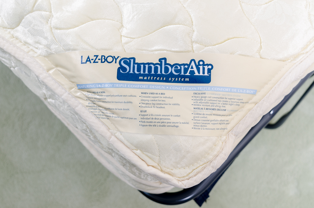 Contemporary Leopard Print Sleeper Sofa by La-Z-Boy