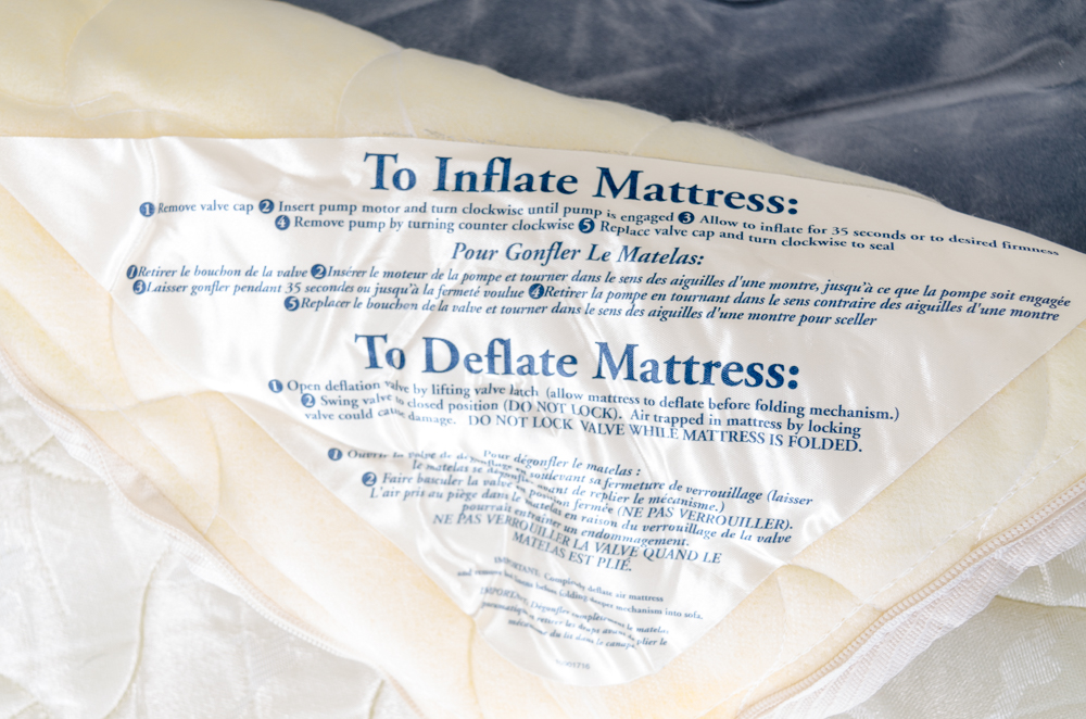 Contemporary Leopard Print Sleeper Sofa by La-Z-Boy