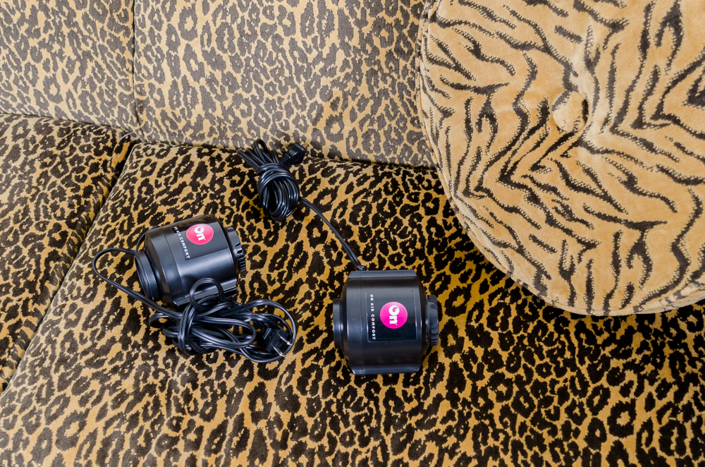 Contemporary Leopard Print Sleeper Sofa by La-Z-Boy