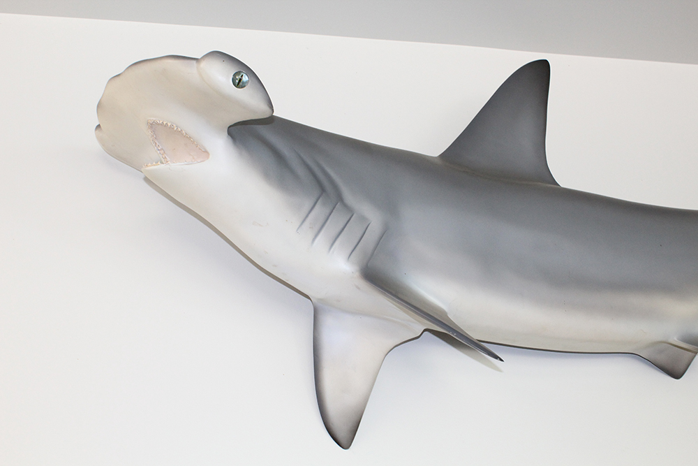 Large 8' Hammerhead Shark Molded Wall Mount