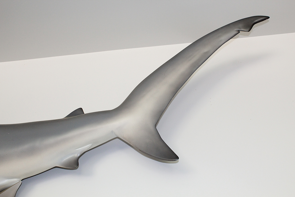 Large 8' Hammerhead Shark Molded Wall Mount