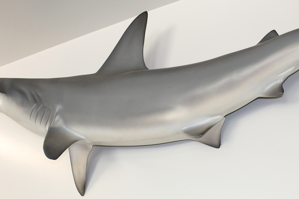 Large 8' Hammerhead Shark Molded Wall Mount