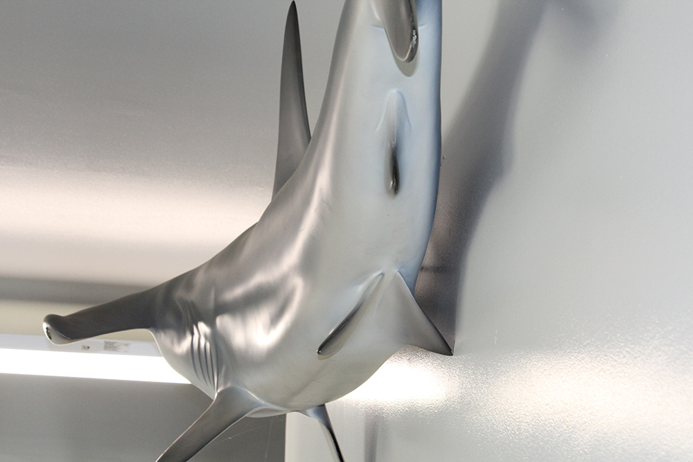 Large 8' Hammerhead Shark Molded Wall Mount