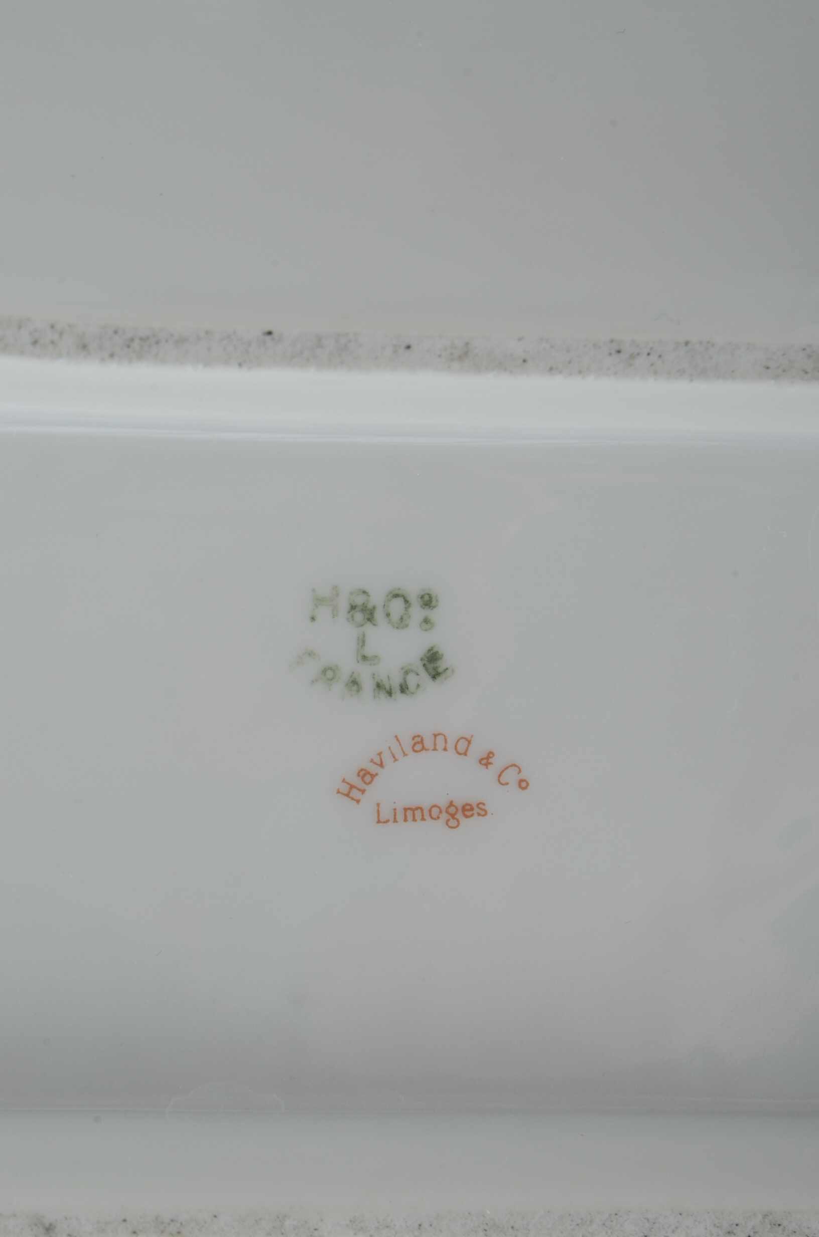 Antique Haviland Limoges Porcelain Fish Platter