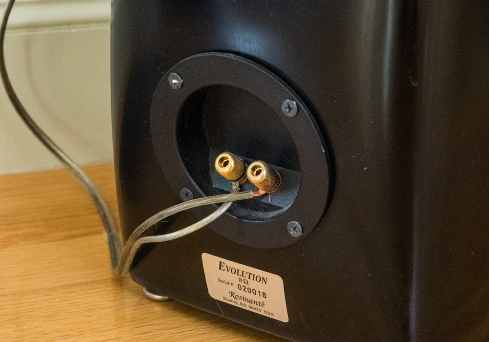 Handcrafted Ric Cummins Evolution Rosinate Speakers
